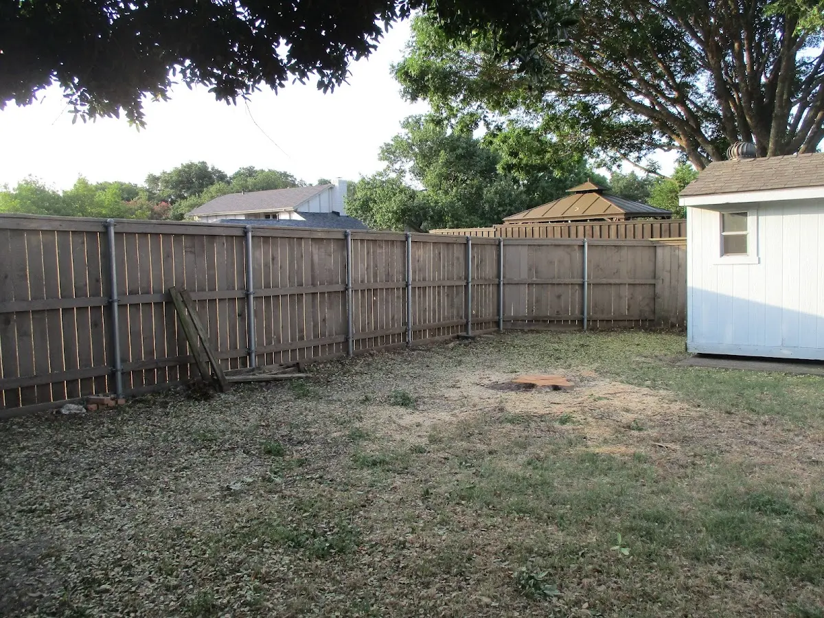 Cleared yard after professional tree removal in Homer Glen